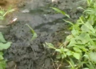 Pencemaran Linkungan Akibat Limbah, Warga Air Sebakul Protes