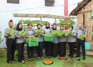 Lapas Perempuan Kelas IIB Bengkulu Gelar Panen Sayur Pakcoy Hidroponik