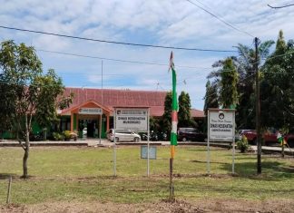 Dua Penderita DBD di Mukomuko Meninggal Dunia