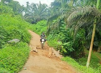 Jembatan Penghubung Antara Desa Sinar Mulya dan Desa Arga Mulya Rusak Parah