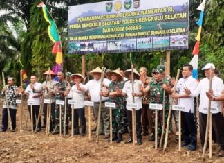 Terima Bantuan Bibit Jagung dari Kementan, Bupati Gusnan: Mari Perkuat Sektor Pertanian Lokal