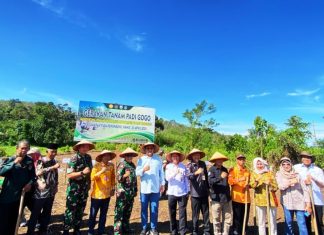 Tahun 2024, Kabupaten Bengkulu Tengah jadi Wilayah Pertama Penanaman Padi Gogo