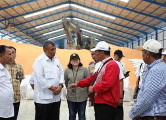 Mentan Minta Bulog Serap Jagung Hasil Produksi Petani