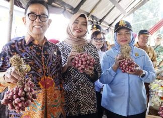 Bazar Murah TPID Kepahiang Ludes Diserbu Warga