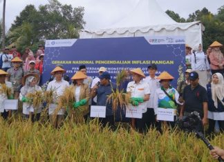 Petani di Bengkulu Selatan Dapat Benih Padi dan Jagung