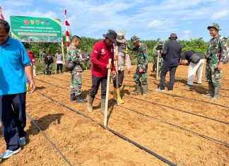 Sinergitas TNI Polri pada TMMD di Desa Bukit Tinggi