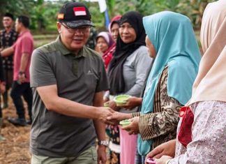 Gubernur Rohidin Ajak Masyarakat Enggano Tanam Padi Gogo di Lahan Kosong