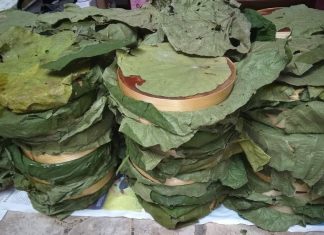Sekda Sukarni: Gula Aren Merupakan Produk Unggulan Bengkulu Selatan