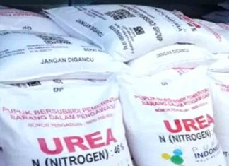 Hore, Petani Bengkulu Selatan Akan Dapat Tambahan Kuota Pupuk Subsidi
