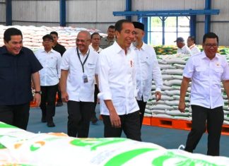 Jaga Stabilitas Pasokan, Pemerintah Perpanjang Relaksasi HET Beras Medium dan Premium