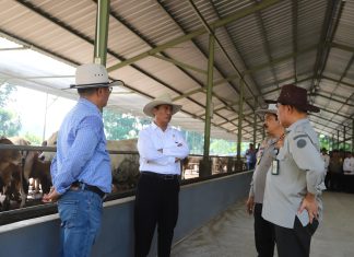 Ketersediaan Hewan Kurban Aman dan Cukup