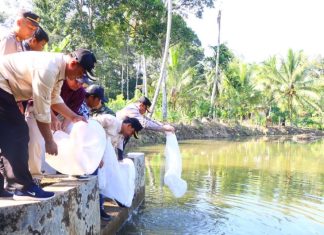 Peringati Hari Bhayangkara, Polres Lebong Tebar 1000 Benih Ikan di Desa Tik Jeniak