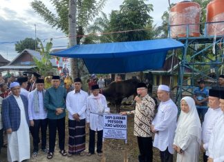 Gubernur Serahkan Bantuan Sapi Qurban Presiden di Masjid Jamik Muhammadiyah Desa Kerta Pati Bengkulu Tengah