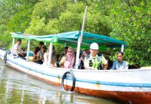Tim Korea Selatan Tinjau Potensi Kelautan dan Hutan Mangrove Pulau Baai Bengkulu
