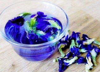 4 Khasiat Minum Air Rebusan Bunga Telang untuk Wanita