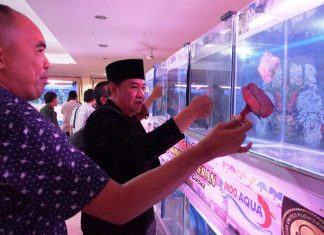 Kontes Ikan Louhan, Dorong Pengembangan Usaha Mikro Masyarakat