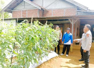 Bhabinkamtibmas Polsek Lebong Selatan Ajak Masyarakat Manfaatkan Lahan dan Pekarangan untuk Ketahanan Pangan