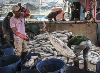 Kemnaker Tegaskan Komitmen Tingkatkan Perlindungan Tenaga Kerja di Sektor Perikanan