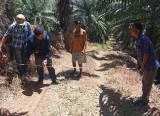 Pemdes Paku Haji Survey Lokasi Pembangunan JUT dan Plat Duiker