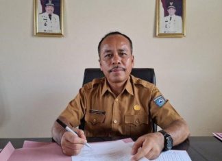 Harga Sawit di Bengkulu Utara: Naik Akhir 2024, Turun Awal 2025