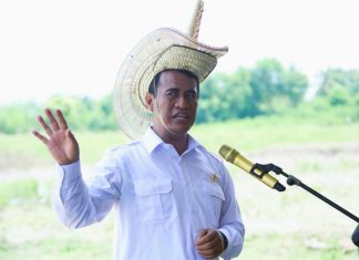 Mentan akan Menindak Tegas Importir Singkong yang lebih Memilih Produk Singkong dari Luar