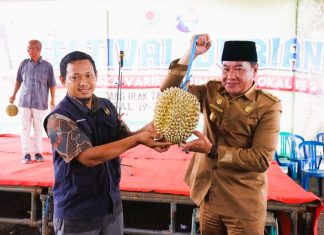 Festival Durian II di Rejang Lebong: 71 Varietas Durian Bersaing dalam Acara Tahunan
