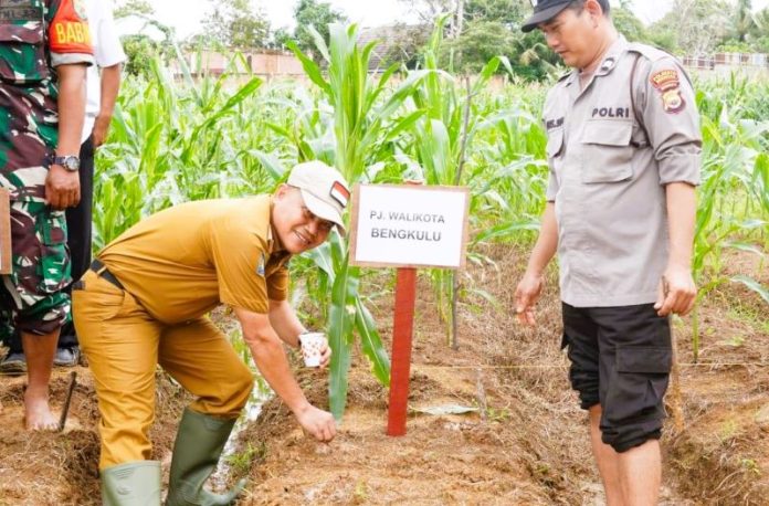 Pj Walikota Bengkulu