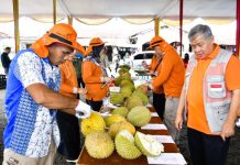 Festival Durian II di Padang Ulak Tanding Tampilkan 71 Varietas Unggul