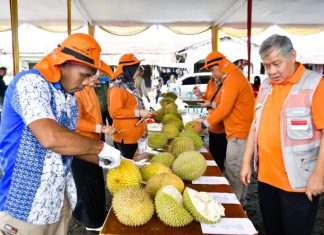 Festival Durian II di Padang Ulak Tanding Tampilkan 71 Varietas Unggul