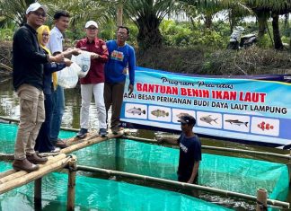 Asisten Pemerintahan dan Kesra Setda Seluma Hadiri Penyerahan 80.000 Bibit Ikan Kakap Putih