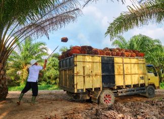 Mitra Ogan Berkomitmen Penuhi Kewajiban Karyawan yang Tertunda