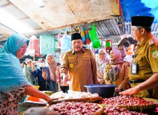 Wagub Mian Pantau Harga Sembako Jelang Ramadan, Antisipasi Lonjakan di Pasar