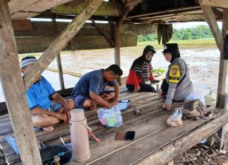 Bhabinkamtibmas Polsek Ratu Agung Dampingi Pendataan Bantuan Kelompok Tani di Sawah Lebar Baru