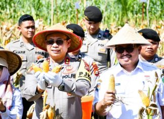 Kapolda Targetkan Penanaman Jagung Bhayangkara di Bengkulu Sukses