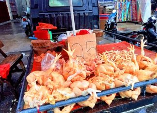 Harga Daging Ayam di Kota Bengkulu Turun Signifikan