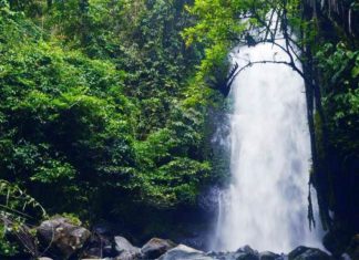 Menikmati Keindahan Air Terjun Batu Layang, Destinasi Wisata Eksotis di Bengkulu Utara