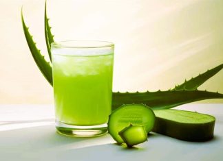 Lidah Buaya Solusi Alami untuk Mengatasi Asam Lambung