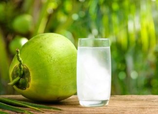 Perokok Wajib Baca! Cara Ampuh Detoks Tubuh dengan Minum Air Kelapa Muda Setiap Pagi