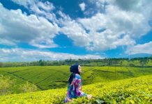 Pesona Kebun Teh Kabawetan, Destinasi Wisata Populer di Bengkulu