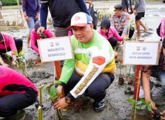 Wakil Walikota Bengkulu Tanam Mangrove Bersama Polresta Bengkulu dan Lintas Komunitas