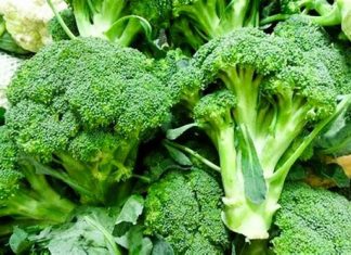 Sayuran Pembakar Lemak Perut, Bye-bye Buncit!