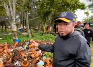 Langkah Serius Pemprov Bengkulu Jadikan Pantai Panjang Ikon Wisata Dunia
