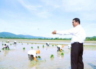 Kementan Perkuat Ketahanan Pangan Jelang Musim Tanam II melalui Perbaikan Tata Kelola Pupuk Subsidi