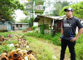 Walikota Bengkulu Tegaskan Penataan Pantai Panjang, Lapak Tak Layak Harus Dibongkar