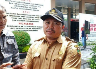Dinkes Bengkulu Selatan Intensifkan Pemantauan terhadap ODGJ