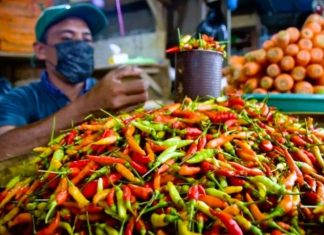 Harga Cabai Stabil Sepanjang Libur Lebaran 2025