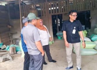 Bulog dan Pemkab Bengkulu Selatan Sepakat Percepat Penyerapan Gabah Petani