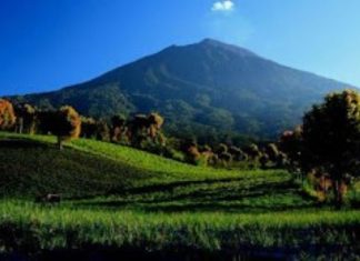 Menjelajahi Keindahan Taman Nasional Kerinci Seblat: Surga Flora dan Fauna di Sumatra