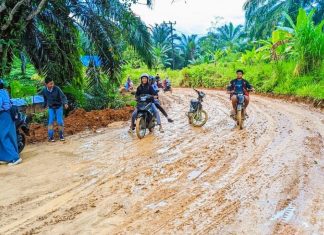 Kondisi Jalan di Air Rami Memburuk, Warga Keluhkan Jalan Kabupaten yang Rusak Parah