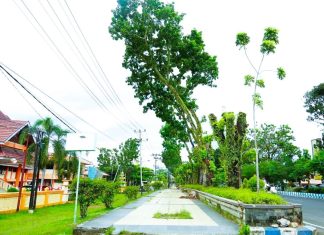 Kawasan S. Parman Disulap Jadi “Belungguk Point”, Wali Kota Bengkulu Gelontorkan Rp10,8 Miliar